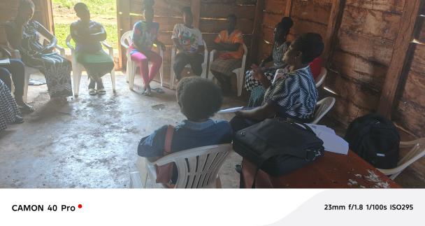 Community Malaria Surveillance Tool — photo 6