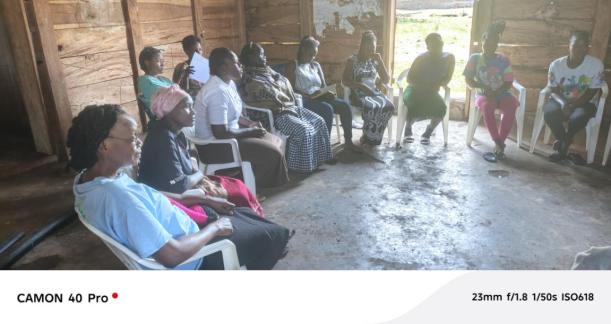 Community Malaria Surveillance Tool — photo 7